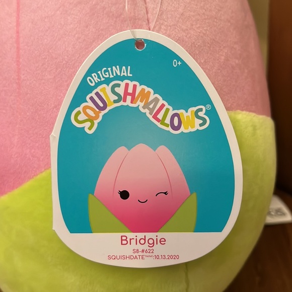 8” Bridgie Squishmallows - Picture 3 of 4